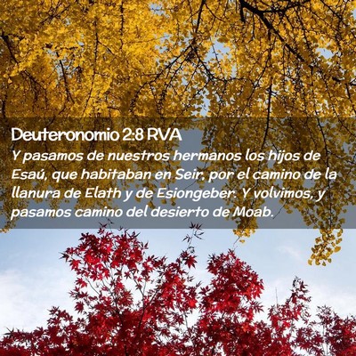 Picture 02 - Deuteronomio 2:8 RVA - Y pasamos de nuestros hermanos los hijos de - Bible Verse Picture