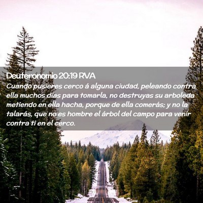Picture 02 - Deuteronomio 20:19 RVA - Cuando pusieres cerco á alguna ciudad, peleando - Bible Verse Picture