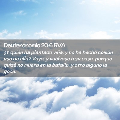 Picture 02 - Deuteronomio 20:6 RVA - ¿Y quién ha plantado viña, y no ha hecho - Bible Verse Picture