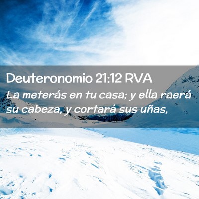 Picture 02 - Deuteronomio 21:12 RVA - La meterás en tu casa; y ella raerá su cabeza, - Bible Verse Picture