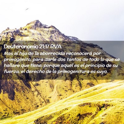 Picture 02 - Deuteronomio 21:17 RVA - Mas al hijo de la aborrecida reconocerá por - Bible Verse Picture