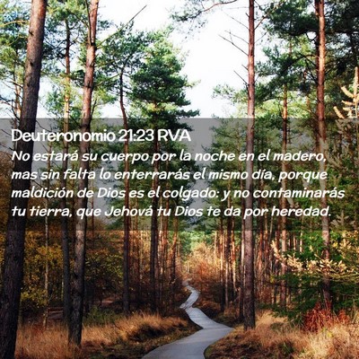 Picture 02 - Deuteronomio 21:23 RVA - No estará su cuerpo por la noche en el madero, - Bible Verse Picture