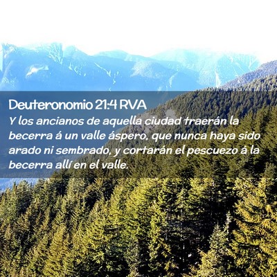 Picture 02 - Deuteronomio 21:4 RVA - Y los ancianos de aquella ciudad traerán la - Bible Verse Picture