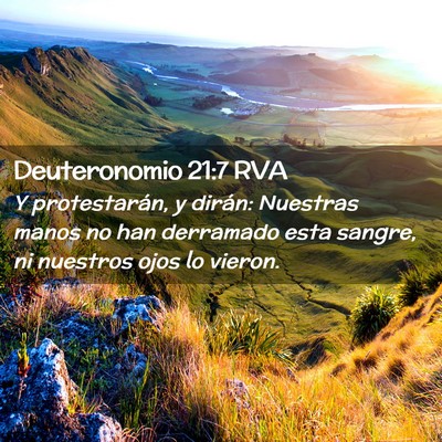Picture 02 - Deuteronomio 21:7 RVA - Y protestarán, y dirán: Nuestras manos no han - Bible Verse Picture