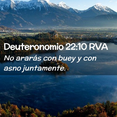 Picture 02 - Deuteronomio 22:10 RVA - No ararás con buey y con asno - Bible Verse Picture