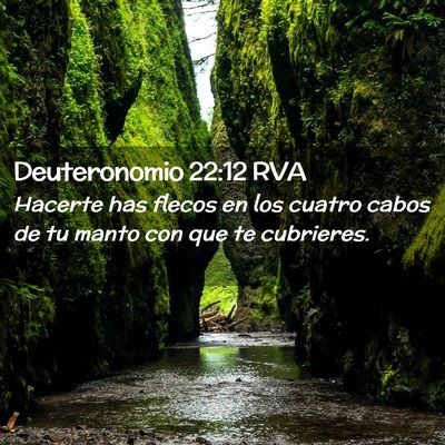 Picture 02 - Deuteronomio 22:12 RVA - Hacerte has flecos en los cuatro cabos de tu - Bible Verse Picture