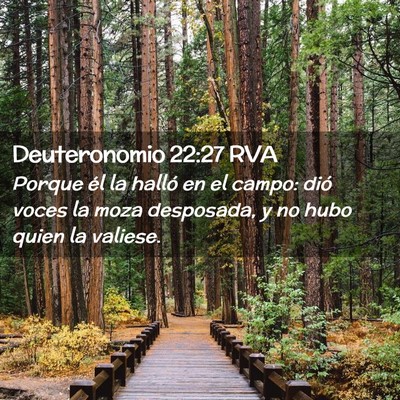 Picture 02 - Deuteronomio 22:27 RVA - Porque él la halló en el campo: dió voces la - Bible Verse Picture