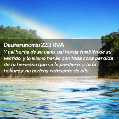 Picture 02 - Deuteronomio 22:3 RVA - Y así harás de su asno, así harás también de - Bible Verse Picture