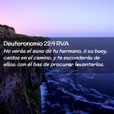 Picture 02 - Deuteronomio 22:4 RVA - No verás el asno de tu hermano, ó su buey, - Bible Verse Picture