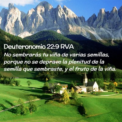 Picture 02 - Deuteronomio 22:9 RVA - No sembrarás tu viña de varias semillas, porque - Bible Verse Picture