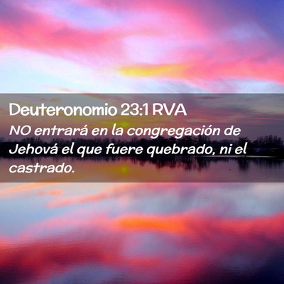 Picture 02 - Deuteronomio 23:1 RVA - NO entrará en la congregación de Jehová el que - Bible Verse Picture