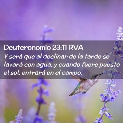 Picture 02 - Deuteronomio 23:11 RVA - Y será que al declinar de la tarde se lavará - Bible Verse Picture