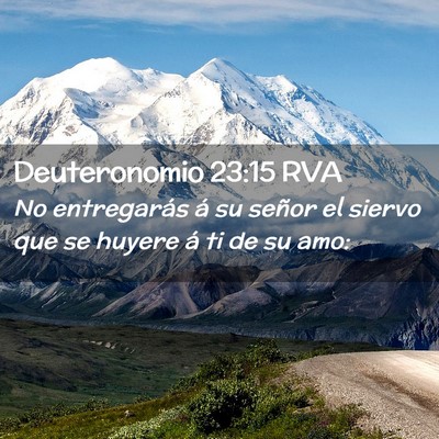 Picture 02 - Deuteronomio 23:15 RVA - No entregarás á su señor el siervo que se - Bible Verse Picture