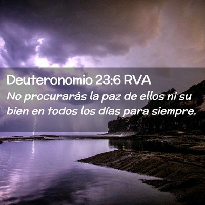 Picture 02 - Deuteronomio 23:6 RVA - No procurarás la paz de ellos ni su bien en - Bible Verse Picture