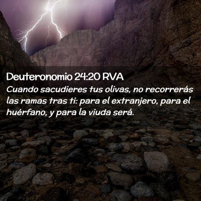 Picture 02 - Deuteronomio 24:20 RVA - Cuando sacudieres tus olivas, no recorrerás las - Bible Verse Picture