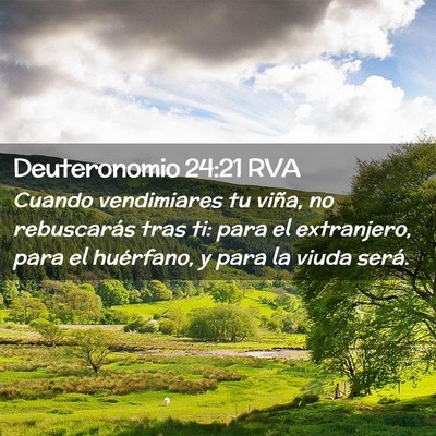 Picture 02 - Deuteronomio 24:21 RVA - Cuando vendimiares tu viña, no rebuscarás tras - Bible Verse Picture