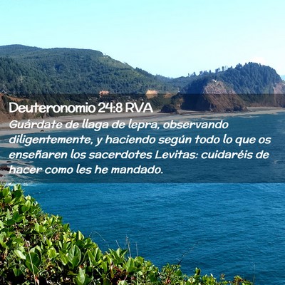 Picture 02 - Deuteronomio 24:8 RVA - Guárdate de llaga de lepra, observando - Bible Verse Picture