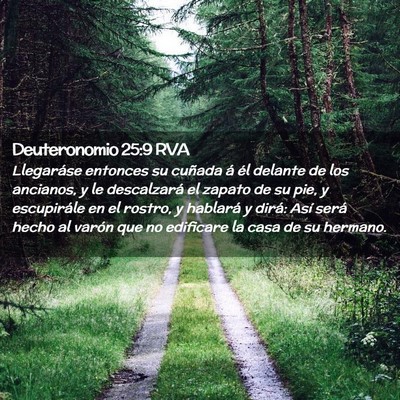Picture 02 - Deuteronomio 25:9 RVA - Llegaráse entonces su cuñada á él delante de - Bible Verse Picture