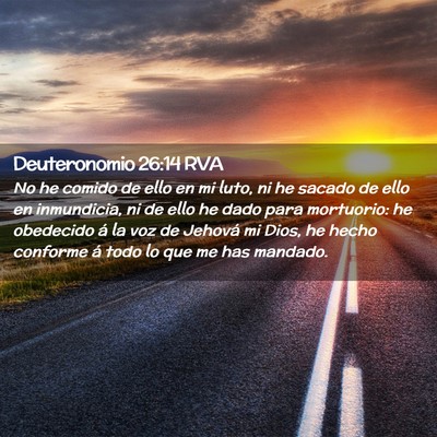 Picture 02 - Deuteronomio 26:14 RVA - No he comido de ello en mi luto, ni he sacado de - Bible Verse Picture