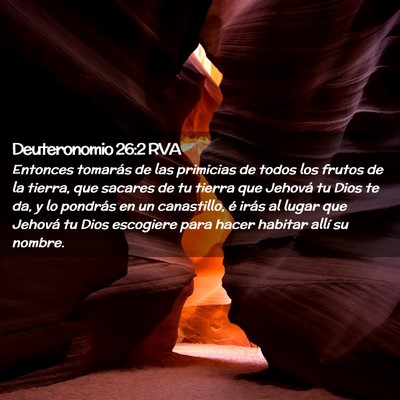 Picture 02 - Deuteronomio 26:2 RVA - Entonces tomarás de las primicias de todos los - Bible Verse Picture