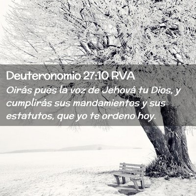 Picture 02 - Deuteronomio 27:10 RVA - Oirás pues la voz de Jehová tu Dios, y - Bible Verse Picture