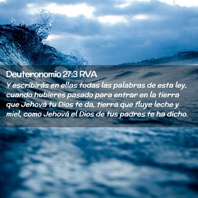 Picture 02 - Deuteronomio 27:3 RVA - Y escribirás en ellas todas las palabras de esta - Bible Verse Picture