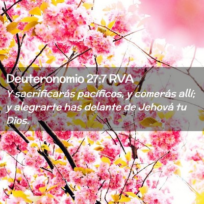 Picture 02 - Deuteronomio 27:7 RVA - Y sacrificarás pacíficos, y comerás allí; y - Bible Verse Picture