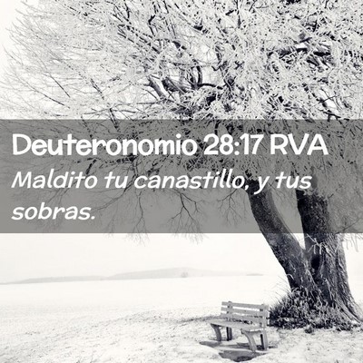 Picture 02 - Deuteronomio 28:17 RVA - Maldito tu canastillo, y tus - Bible Verse Picture