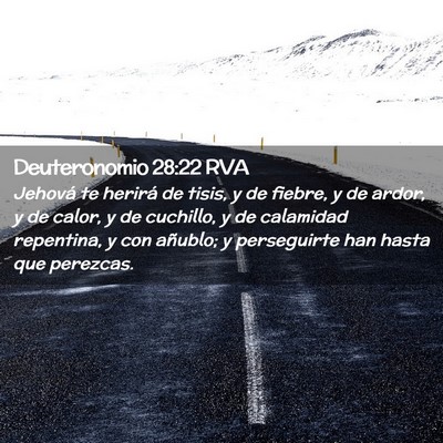 Picture 02 - Deuteronomio 28:22 RVA - Jehová te herirá de tisis, y de fiebre, y de - Bible Verse Picture