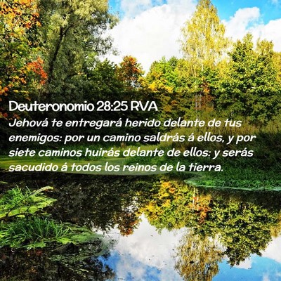 Picture 02 - Deuteronomio 28:25 RVA - Jehová te entregará herido delante de tus - Bible Verse Picture