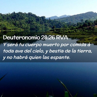 Picture 02 - Deuteronomio 28:26 RVA - Y será tu cuerpo muerto por comida á toda ave - Bible Verse Picture