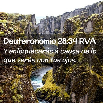 Picture 02 - Deuteronomio 28:34 RVA - Y enloquecerás á causa de lo que verás con tus - Bible Verse Picture
