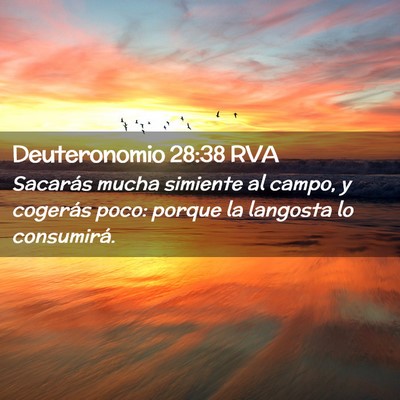 Picture 02 - Deuteronomio 28:38 RVA - Sacarás mucha simiente al campo, y cogerás - Bible Verse Picture