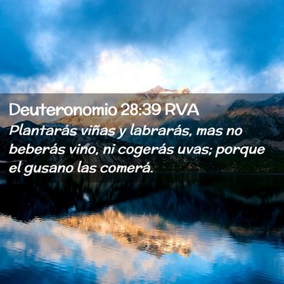 Picture 02 - Deuteronomio 28:39 RVA - Plantarás viñas y labrarás, mas no beberás - Bible Verse Picture