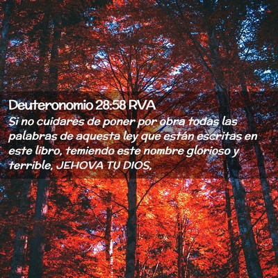Picture 02 - Deuteronomio 28:58 RVA - Si no cuidares de poner por obra todas las - Bible Verse Picture