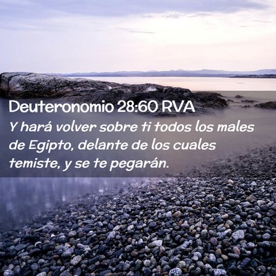 Picture 02 - Deuteronomio 28:60 RVA - Y hará volver sobre ti todos los males de - Bible Verse Picture