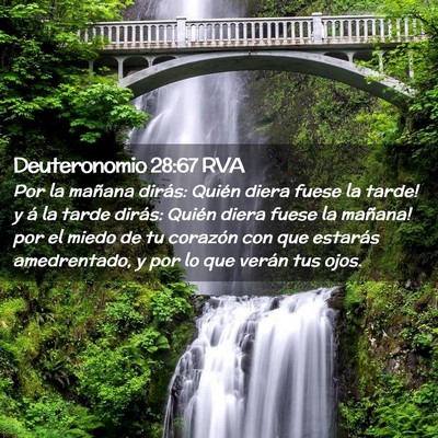 Picture 02 - Deuteronomio 28:67 RVA - Por la mañana dirás: ­Quién diera fuese la - Bible Verse Picture