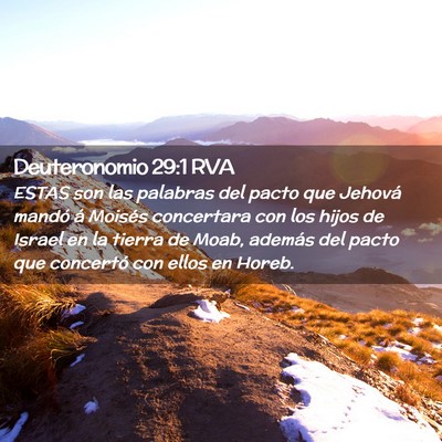 Picture 02 - Deuteronomio 29:1 RVA - ESTAS son las palabras del pacto que Jehová - Bible Verse Picture
