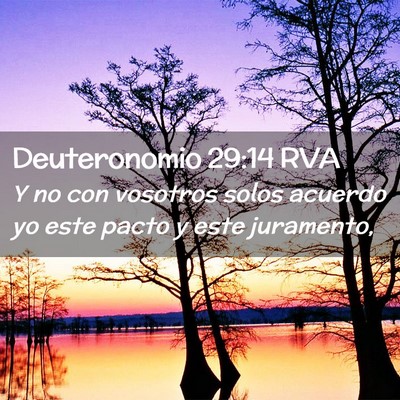 Picture 02 - Deuteronomio 29:14 RVA - Y no con vosotros solos acuerdo yo este pacto y - Bible Verse Picture