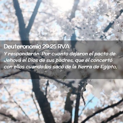 Picture 02 - Deuteronomio 29:25 RVA - Y responderán. Por cuanto dejaron el pacto de - Bible Verse Picture