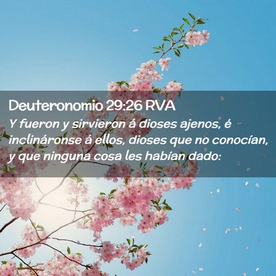 Picture 02 - Deuteronomio 29:26 RVA - Y fueron y sirvieron á dioses ajenos, é - Bible Verse Picture