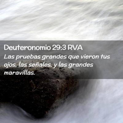 Picture 02 - Deuteronomio 29:3 RVA - Las pruebas grandes que vieron tus ojos, las - Bible Verse Picture