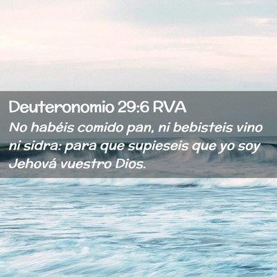Picture 02 - Deuteronomio 29:6 RVA - No habéis comido pan, ni bebisteis vino ni - Bible Verse Picture