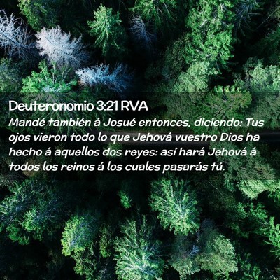Picture 02 - Deuteronomio 3:21 RVA - Mandé también á Josué entonces, diciendo: Tus - Bible Verse Picture