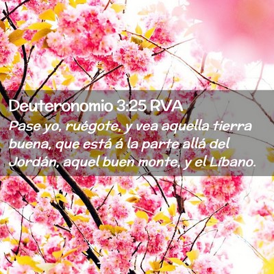 Picture 02 - Deuteronomio 3:25 RVA - Pase yo, ruégote, y vea aquella tierra buena, - Bible Verse Picture