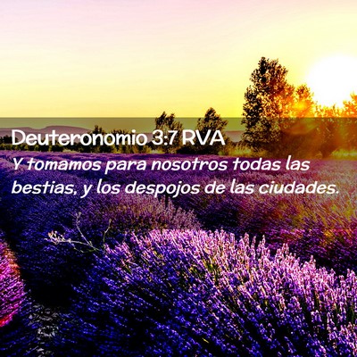 Picture 02 - Deuteronomio 3:7 RVA - Y tomamos para nosotros todas las bestias, y los - Bible Verse Picture