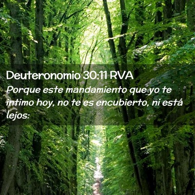 Picture 02 - Deuteronomio 30:11 RVA - Porque este mandamiento que yo te intimo hoy, no - Bible Verse Picture