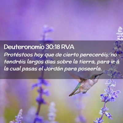 Picture 02 - Deuteronomio 30:18 RVA - Protéstoos hoy que de cierto pereceréis: no - Bible Verse Picture
