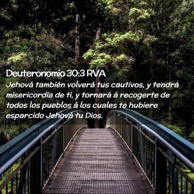 Picture 02 - Deuteronomio 30:3 RVA - Jehová también volverá tus cautivos, y tendrá - Bible Verse Picture