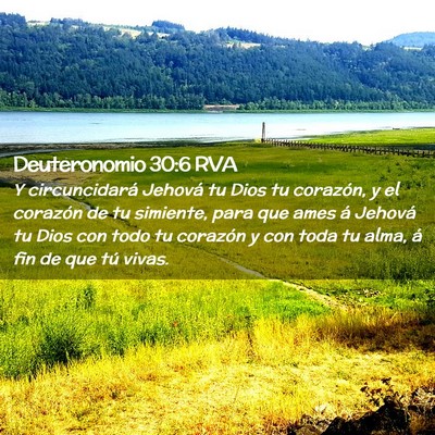 Picture 02 - Deuteronomio 30:6 RVA - Y circuncidará Jehová tu Dios tu corazón, y el - Bible Verse Picture